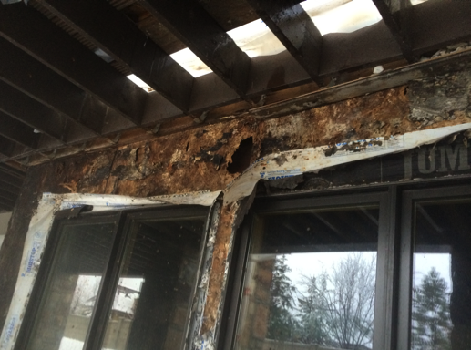 Dry Rot Damage Repair by RAM Builders Stucco & Exteriors