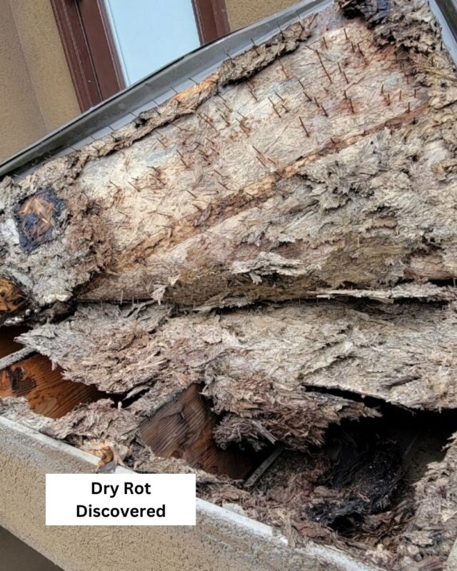 Discovering dry rot during a remodel can be a setback, but it's also an opportunity for improvement. Here, we're seamlessly replacing damaged plywood with durable solutions, ensuring longevity and safety. Our choice of waterproof deck membranes isn't just about aesthetics – it's about protection. From resisting moisture to enhancing structural integrity, this innovative solution elevates both form and function, ensuring your outdoor space stands the test of time.
-
-
-
 #ExteriorRemodel #WaterproofDeck #deckrenovation #deck #deckdesign #decking  #QualityCraftsmanship #HomeRenovation #CommitmentToExcellence #StuccoRedo #stucco #remodel #utahhomes #residentialexterior #exteriorrepairs #utah #exteriors #homeremodel #construction #constructionmaterials #constructionlife #utahconstruction #utahconstructionspecialists
